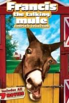 Francis the Talking Mule Collection