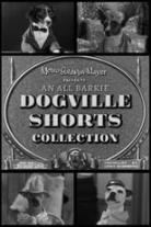 Dogville Shorts Collection