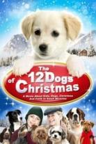 12 Dogs of Christmas Collection