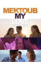 Mektoub, My Love Collection