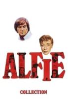 Alfie Collection