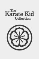 The Karate Kid Collection