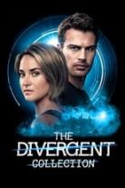 Divergent Collection