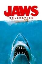 Jaws Collection