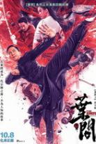 Ip Man (Dennis To Yu-Hang) Collection