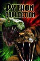 Python Collection