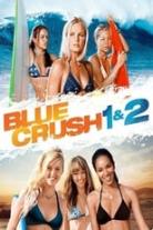 Blue Crush Collection