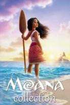 Moana Collection