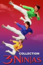 3 Ninja Kids Collection