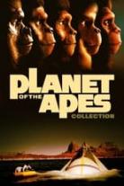 Planet of the Apes (Original) Collection