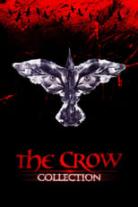 The Crow Collection