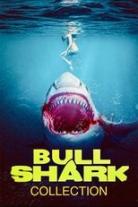 Bull Shark Collection