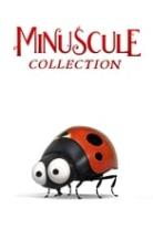 Minuscule Collection