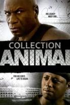 Animal Collection