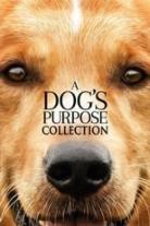 A Dog's Purpose Collection