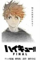 Haikyu!! Final