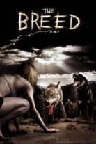 The Breed Collection