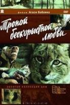 The Lynx' Adventures