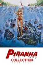 Piranha Collection