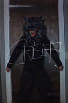 Creep Collection