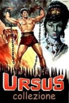 Ursus collection