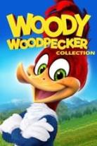Woody Woodpecker Collection