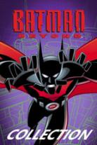 Batman Beyond Collection