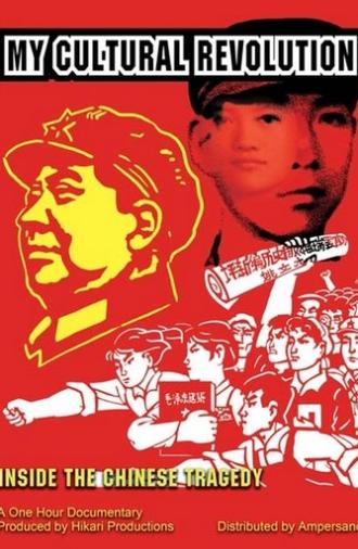 Ma révolution culturelle (2014)