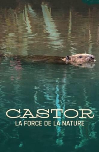 Castor, la force de la nature (2023)