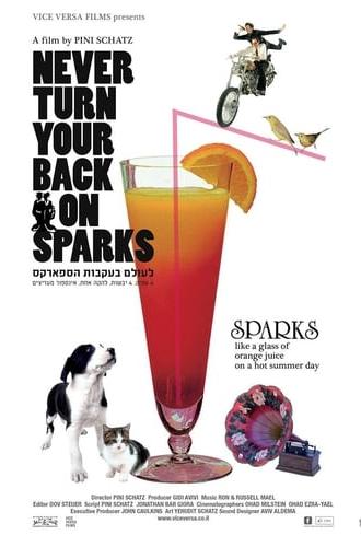 Never Turn Your Back On Sparks (2014)