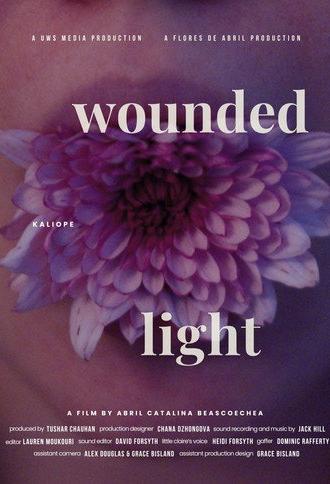 Wounded Light (2026)
