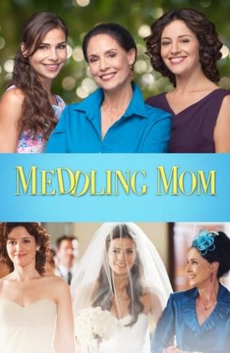 Meddling Mom (2013)