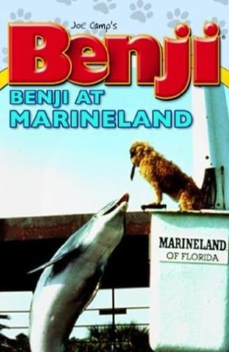 Benji at Marineland (1981)