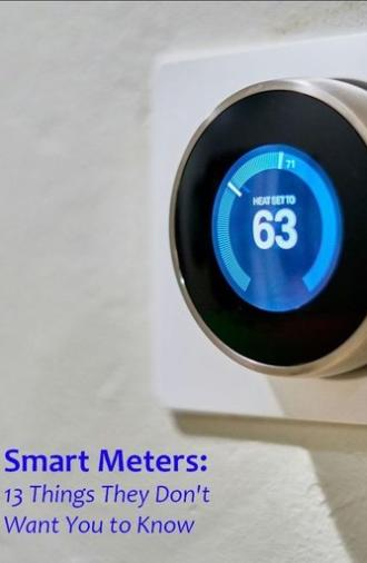 Smart Meters: 13 Things They Don't Want You to Know (2024)