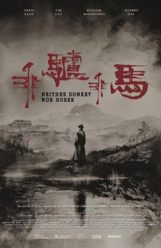 Neither Donkey Nor Horse (2024)