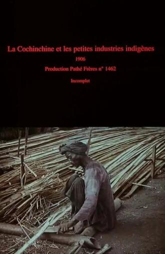 La Cochinchine et les petites industries indigènes (1906)