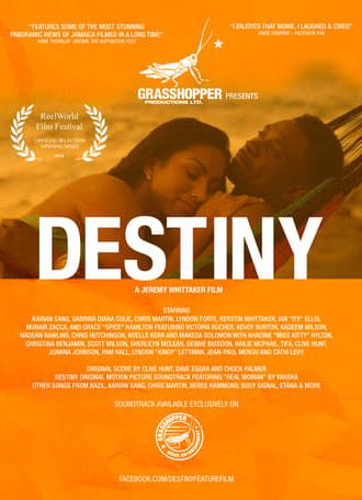 Destiny (2014)