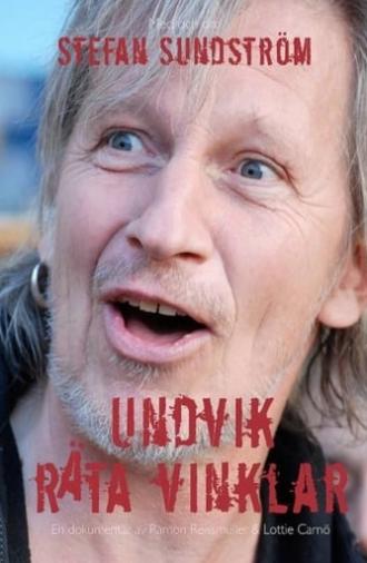 Undvik räta vinklar (2011)