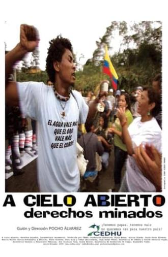 A cielo abierto, derechos minados (2009)