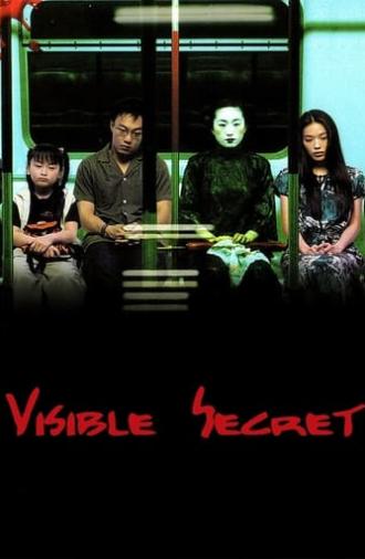 Visible Secret (2001)