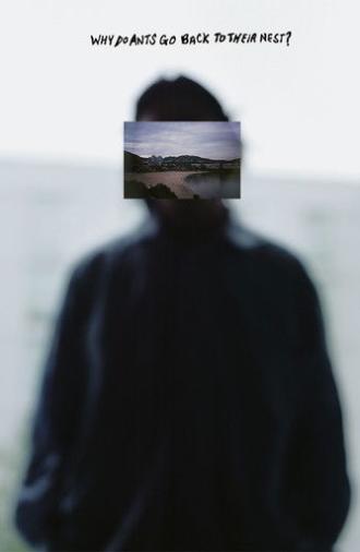 Why Do Ants Go Back To Their Nest? (2022)