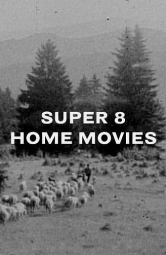 Super 8 Home Movies (2010)