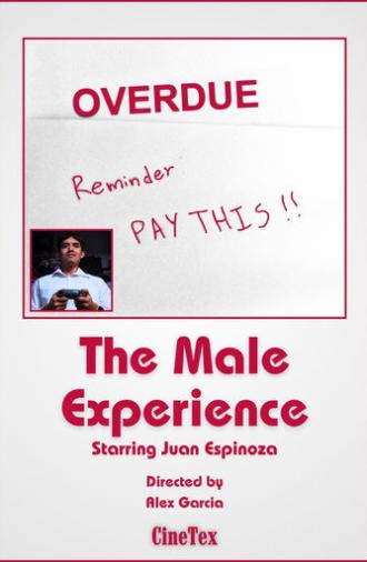 The Male Experience (2026)