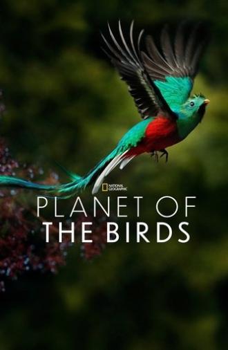 Planet of the Birds (2018)