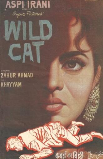Wild Cat (1960)