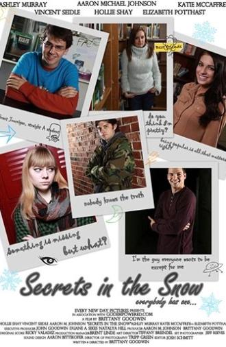 Secrets in the Snow (2013)