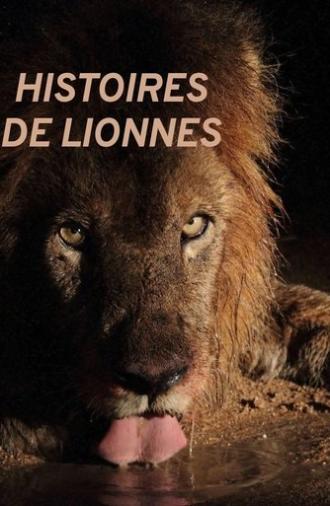Histoires de lionnes (2020)