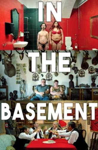 In the Basement (2014)