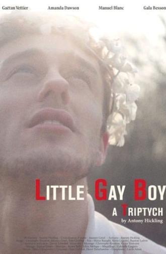 Little Gay Boy (2013)