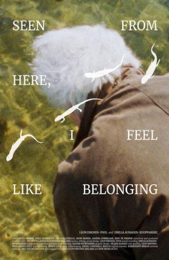 Seen From Here, I Feel Like Belonging (2025)